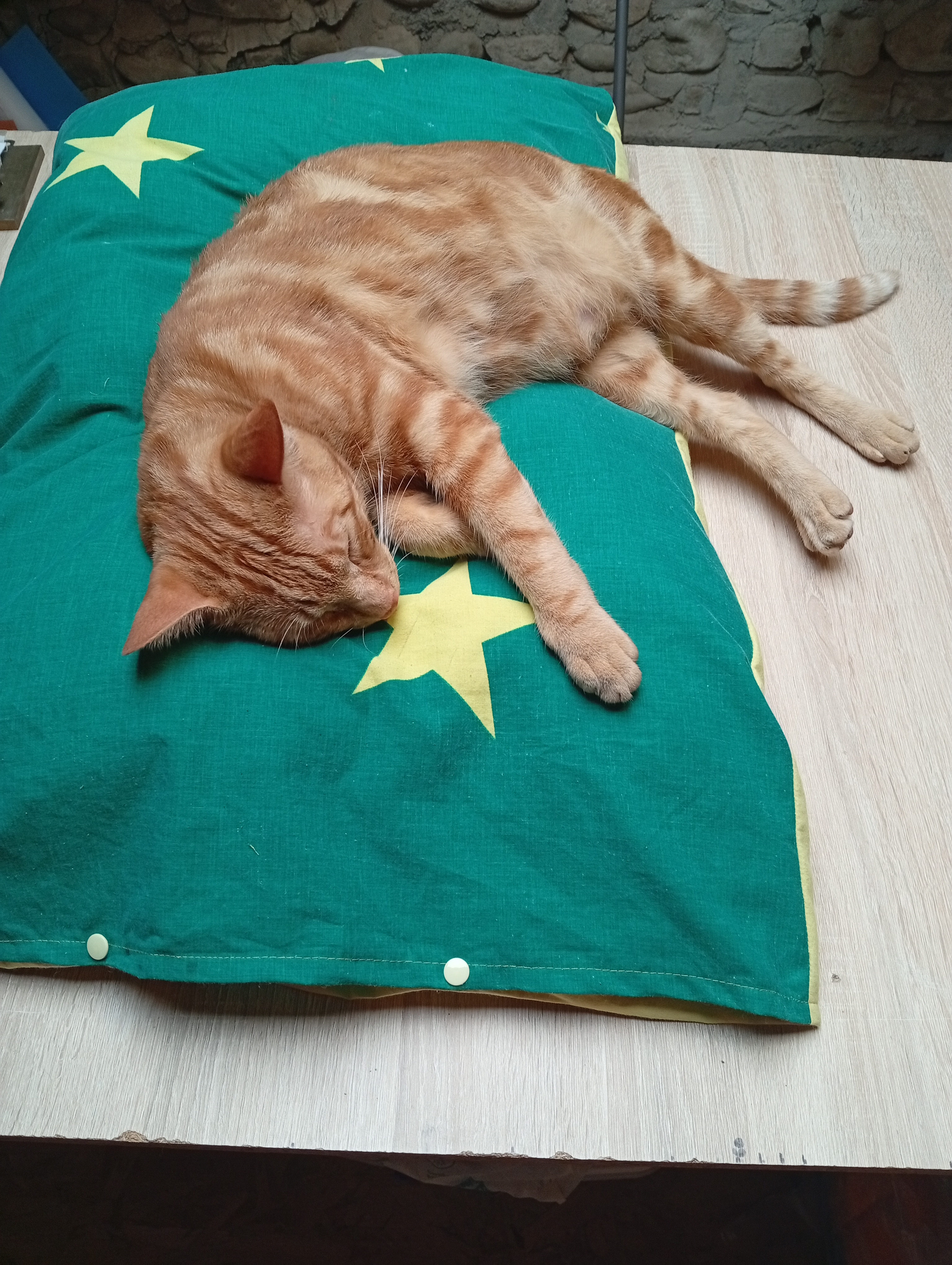 Coussins pour animaux